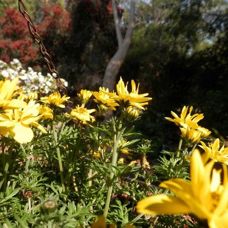 The Hideaway Luxury B&B Retreat Armadale Extérieur photo