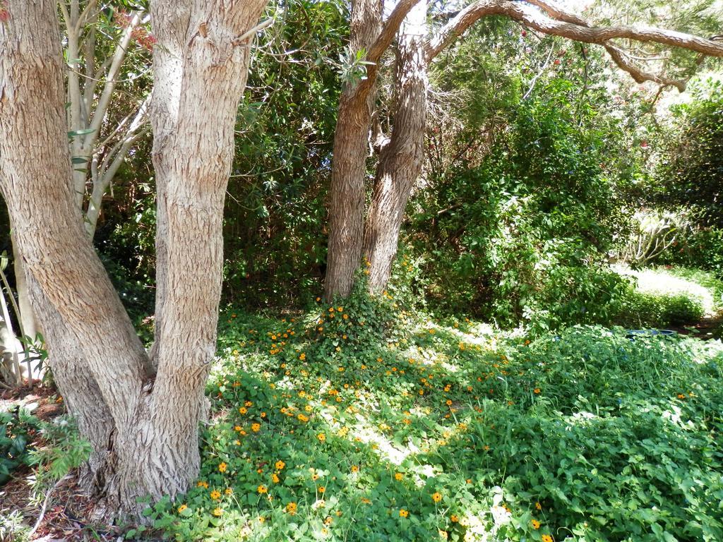 The Hideaway Luxury B&B Retreat Armadale Extérieur photo